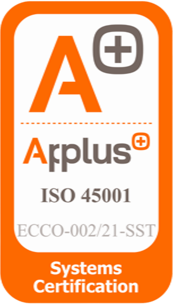 Gestión de la Seguridad y Salud en el Trabajo